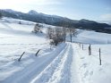 2010-01-29 10-44-47 Derniere promenade-DLe